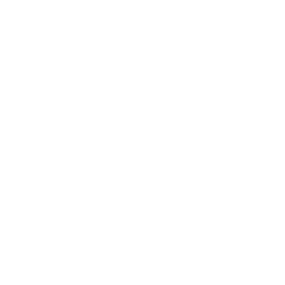 Stealien security module icon